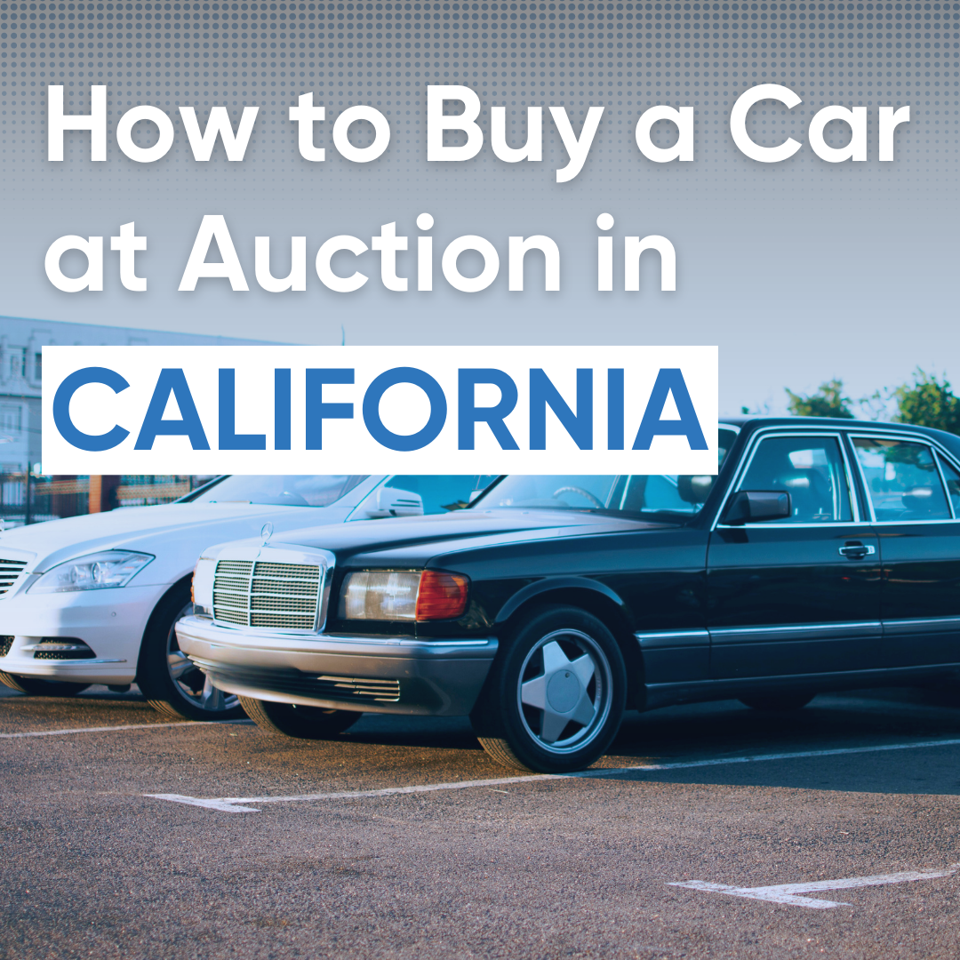 Car Auctions in Los Angeles Open to the Public - Everything You Need to Know