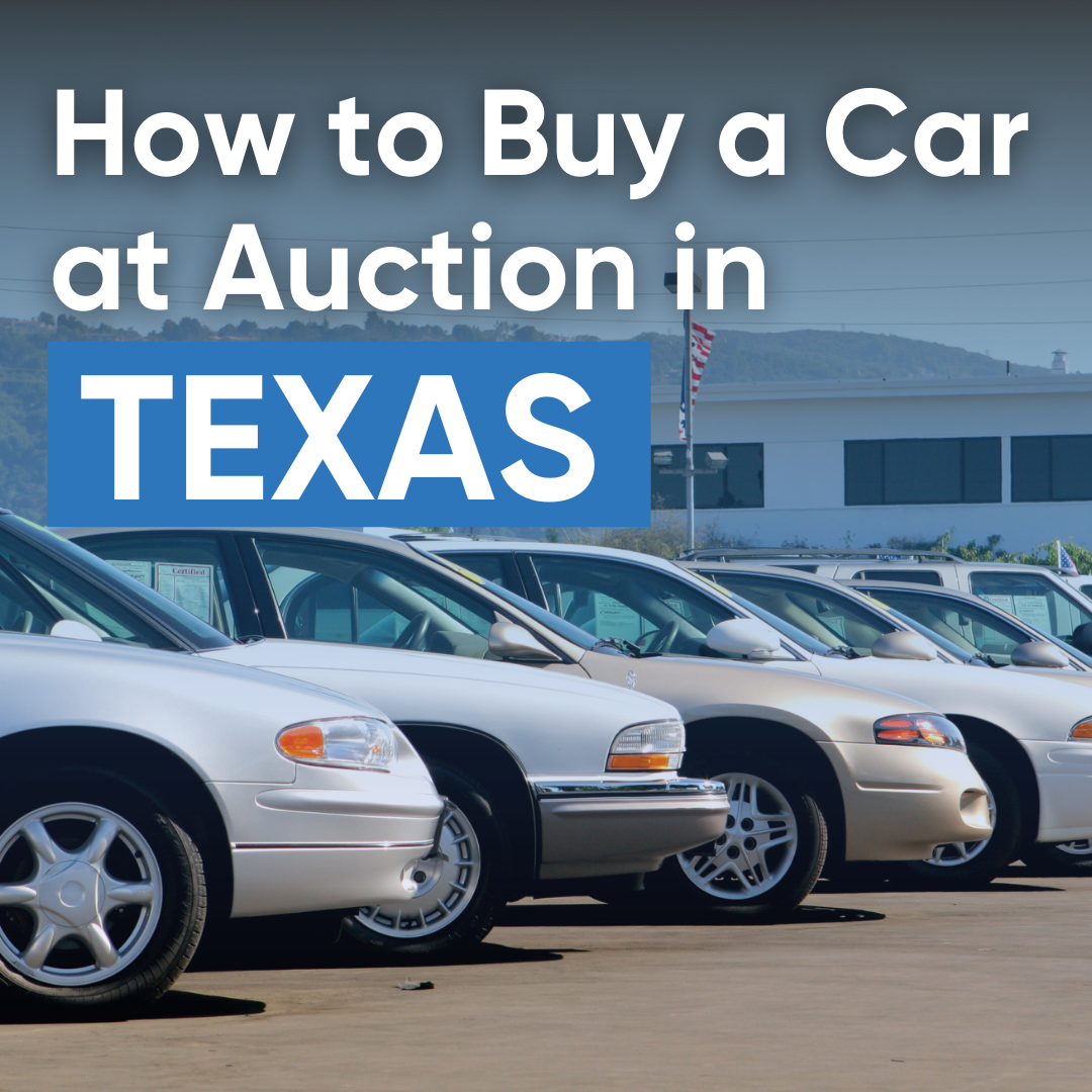 How do you get a license to buy 2024 cars at auction