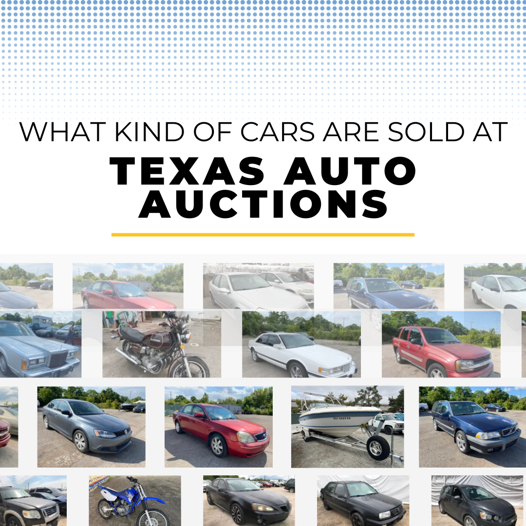 What kind of cars can you expect to find at Public Auto Auctions?