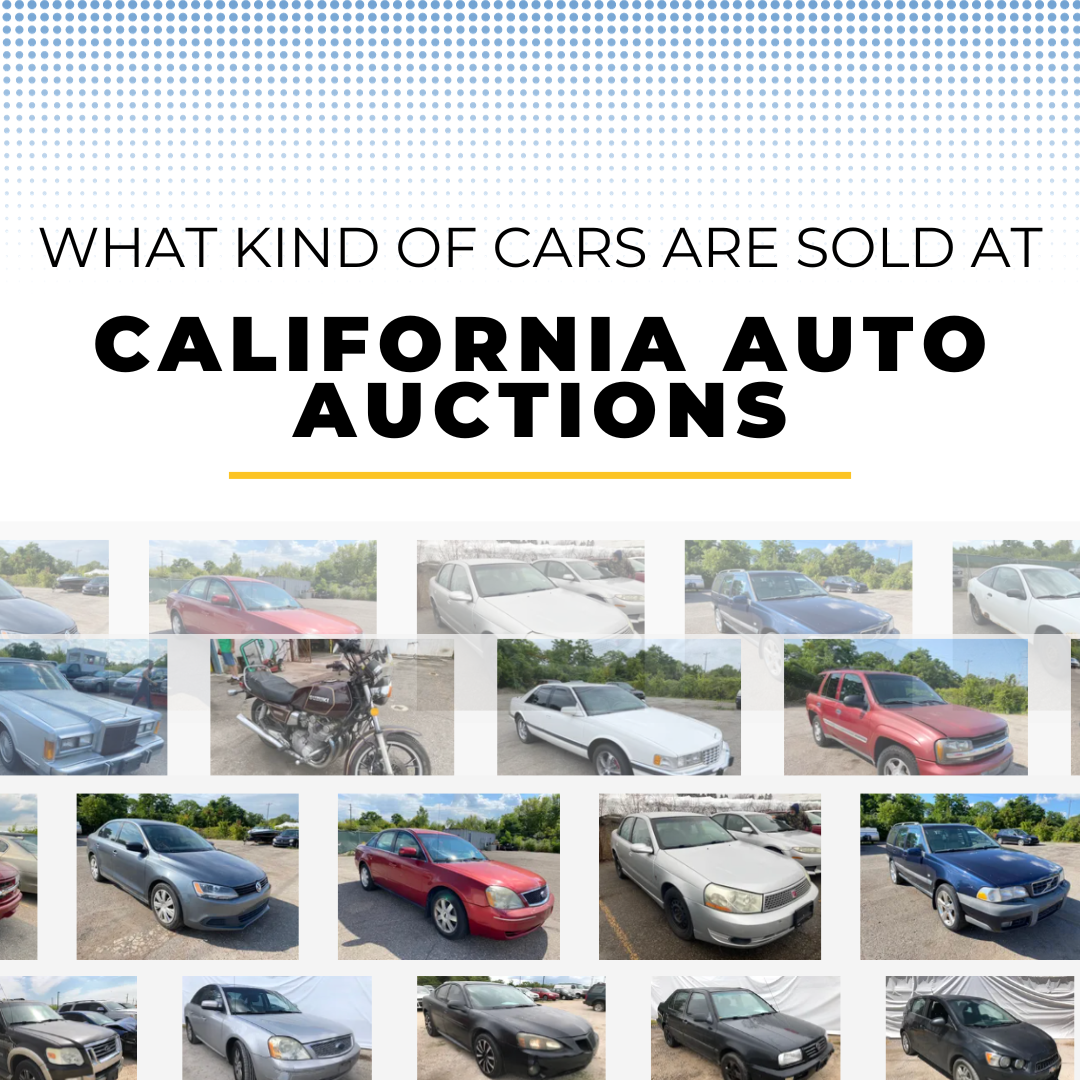 What kind of cars will you find at Express auto auction?