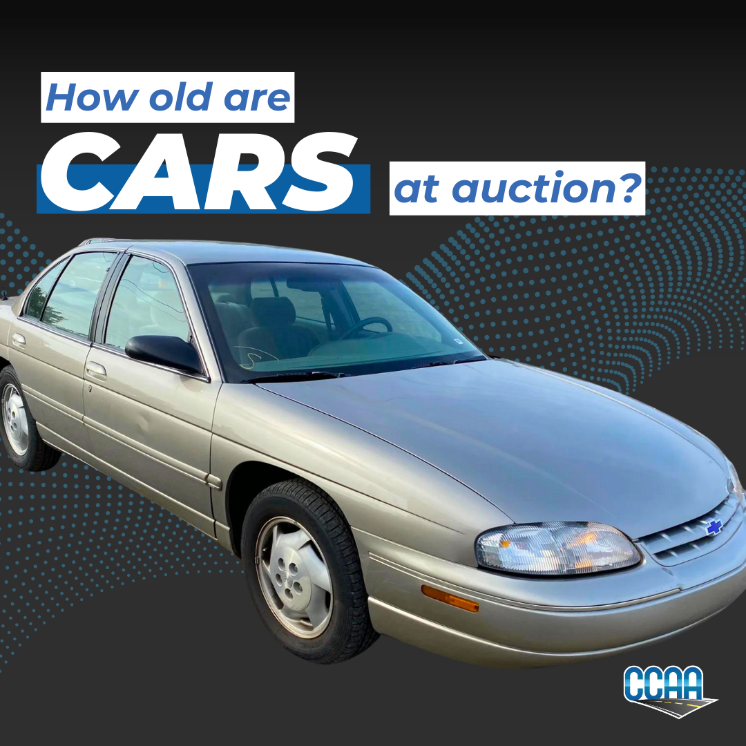 Just how old is the average car at a dealers' auction?