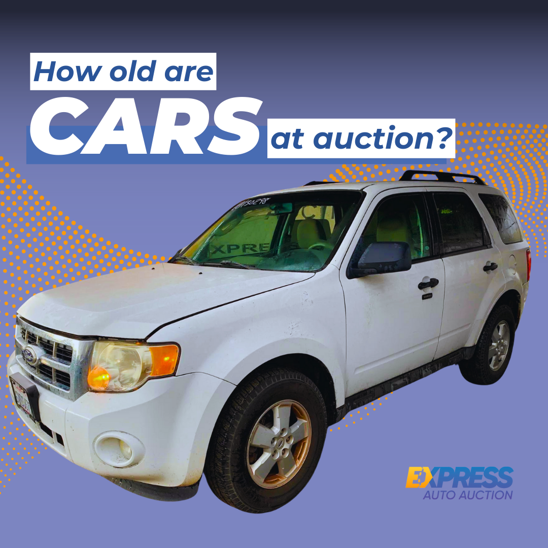 How old is the average car at Express Auto Auction?