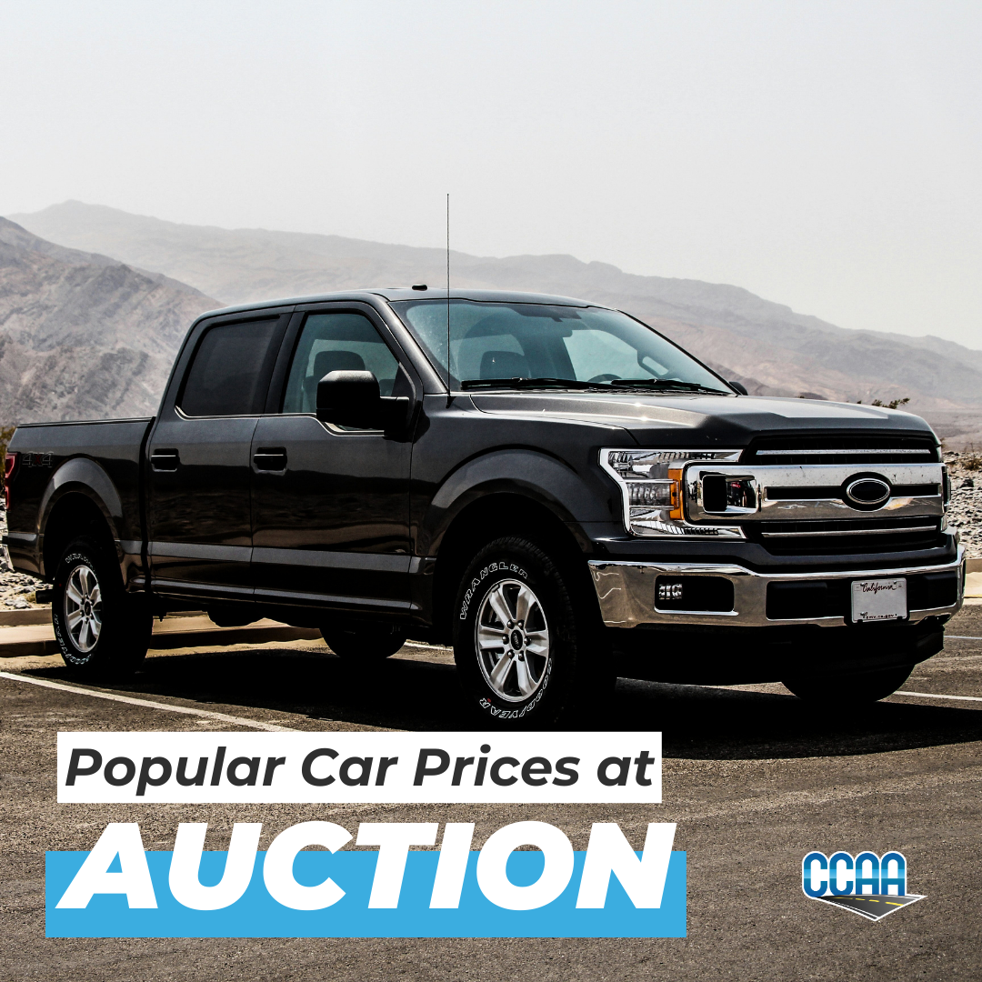 What do popular cars cost at auction? Less than anywhere else.