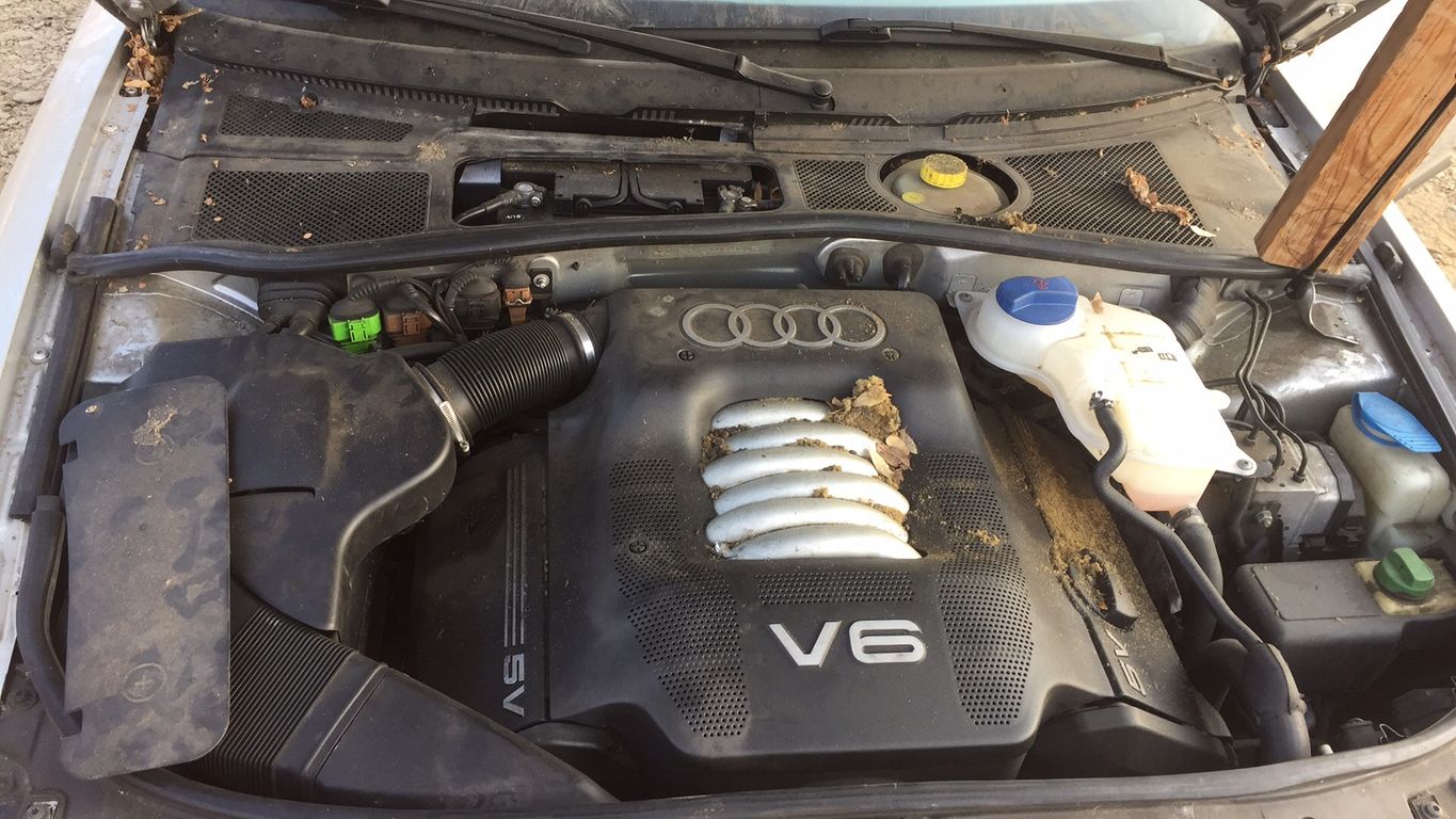 2000 Audi A4 10