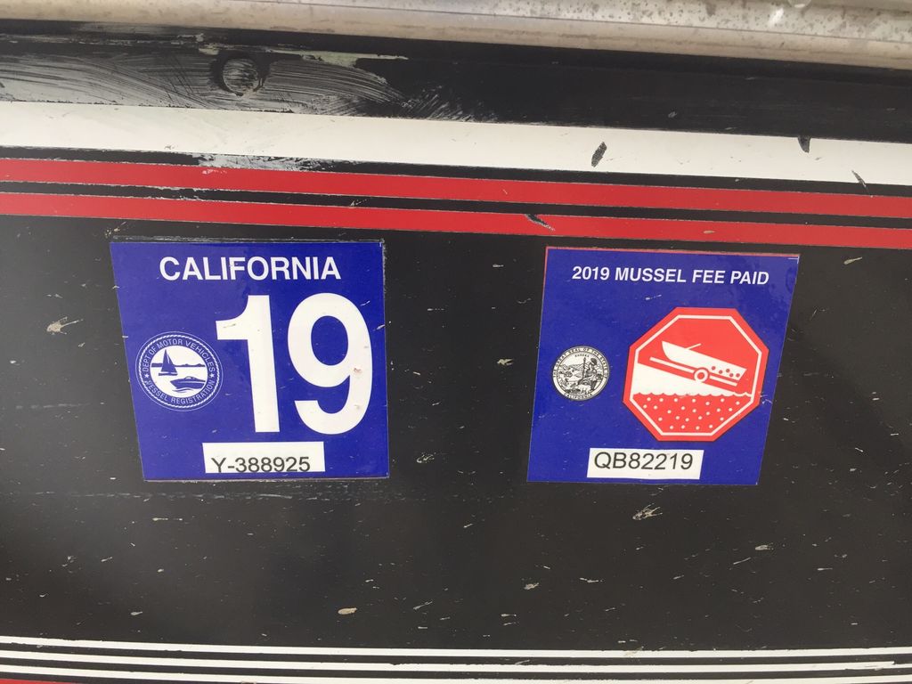 1990 spectrum 17' 14