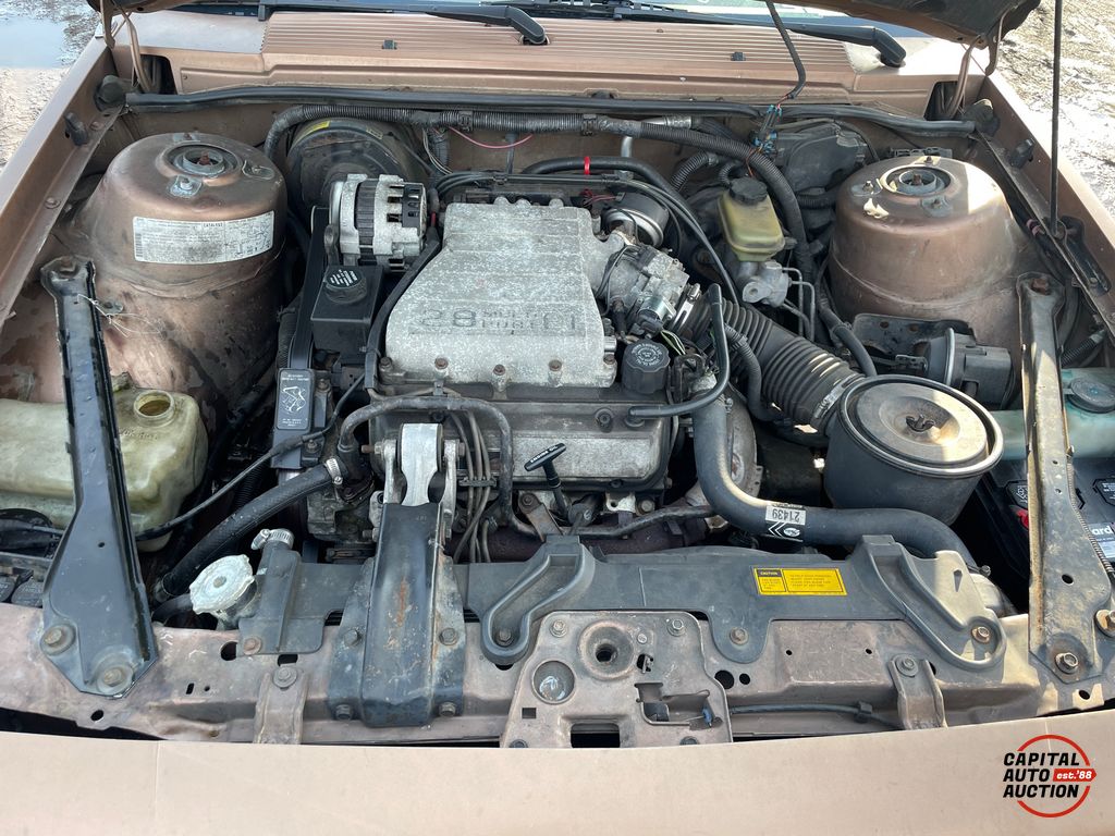 1989 Chevrolet Celebrity 10