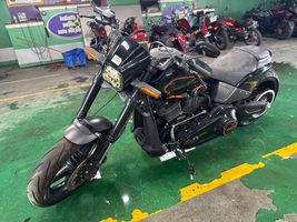 2020 HARLEY DAVIDSON Softail