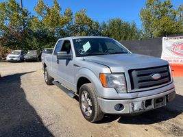 2009 Ford F-150