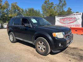 2010 Ford Escape