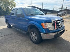 2010 Ford F-150