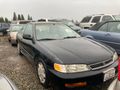 1996 Honda Accord