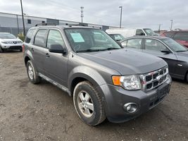 2010 Ford Escape