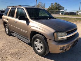 2002 Chevrolet TrailBlazer