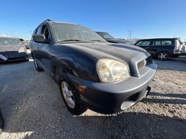 2003 Hyundai Santa Fe