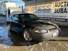 2001 Ford Mustang SVT Cobra