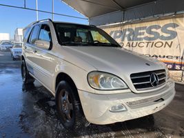 2002 Mercedes-Benz M-Class