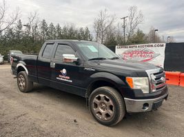 2009 Ford F-150