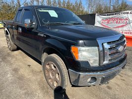 2009 Ford F-150