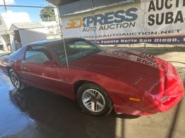 1991 Pontiac Firebird