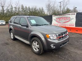 2010 Ford Escape