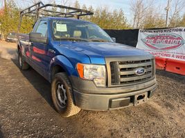 2010 Ford F-150