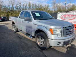 2009 Ford F-150