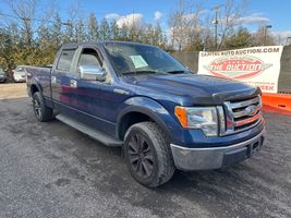 2009 Ford F-150