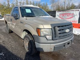 2009 Ford F-150