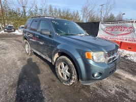 2010 Ford Escape