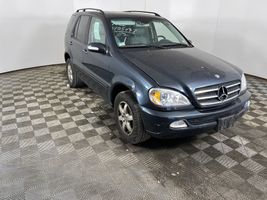 2002 Mercedes-Benz M-Class