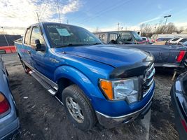 2010 Ford F-150
