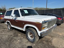 1981 Ford Bronco