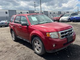 2010 Ford Escape