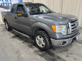 2010 Ford F150