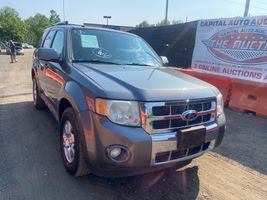 2010 Ford Escape