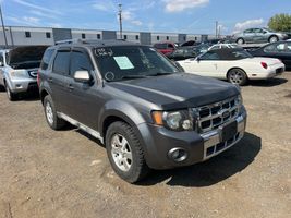 2010 Ford Escape