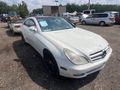 2009 Mercedes-Benz CLS-Class