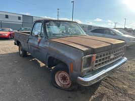 1980 Chevrolet Pick Up
