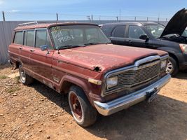 1979 JEEP Wagoneer