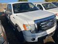 2010 Ford F150
