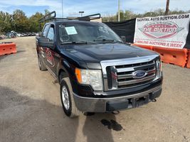 2010 Ford F150
