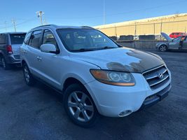 2009 Hyundai Santa Fe