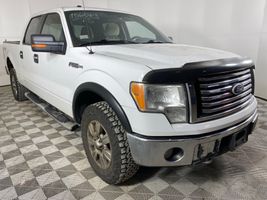 2010 Ford F150