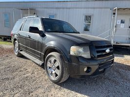 2009 Ford Expedition