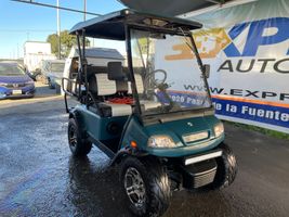 2019 ACG GOLF CART