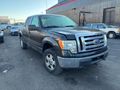 2010 FORD F150