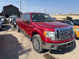 2010 FORD F150 XLT