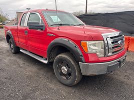 2010 FORD F150 