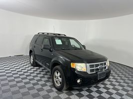 2008 FORD ESCAPE XLT