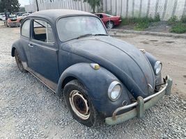 1967 VOLKSWAGEN BEETLE 